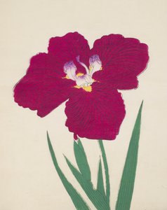 Tai-Hei-Raku，1890号，18号（彩色木版画） 作者 日本学校