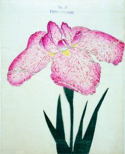Tanka-no.-Koe，1898年第15期