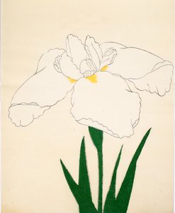 Tsuru-No-Kegoromo，No。33,1890（彩色木版画） 作者 日本学校