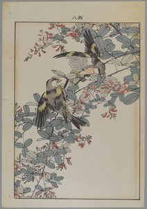 两只粉红色的花，明治时期，c.1868-1912（彩色木版画） 作者 日本学校