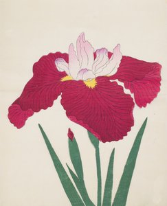Yamamatayama，No。83,1890（彩色木版画） 作者 日本学校
