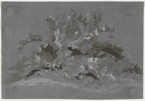 杂草研究，1800年至1850年。