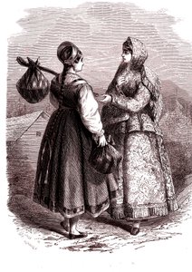 俄罗斯。瓦尔代伊坐骑上的妇女。1865 年（雕刻）