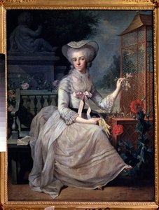 "让-巴蒂斯特（Jean Baptiste）-夏朋蒂埃（1728-1806）1784 年的绘画作品《笼中的少女》 莫斯科普希金博物馆