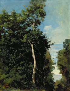 翁弗勒尔的Cote de Grace上的木头（布面油画）