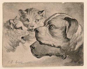 猫和狗的头 作者 Jean Baptiste Huet