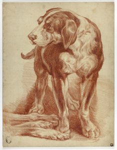 猎犬站立 作者 Jean-Baptiste Huet