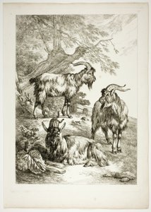 Oeuvres de J. B. Huet 插图 38 之 17