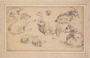 绵羊、山羊和狗的研究片，约1780年。 作者 让·巴蒂斯特·玛丽·休特