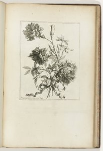 绑定花束
小花束（系列名称） 作者 Jean-Baptiste Monnoyer