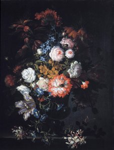 静物与花
