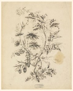 素描，梦幻树的枝桠，1775-1800 年