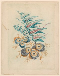 来自 Nouvelle Suitte de Cahiers de Fleurs Idéales 的奇妙花朵图案 作者 安妮·艾伦