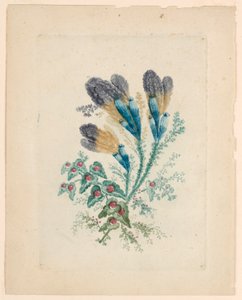 来自 "Nouvelle Suitte de Cahiers de fleurs idéales" 的奇妙花朵图案 作者 安妮·艾伦