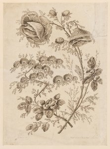 花枝，选自 "Cahier de Fleurs Singuliers"（《花之歌》）。