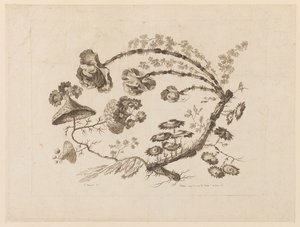 花枝，摘自《中国品味的不同花饰集》（Recueil de Differentes Fleurs de Fantaisie Dans le Goût Chinois）。 作者 让·巴蒂斯特·皮列曼