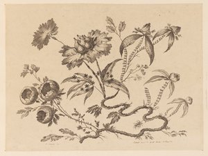 花枝，摘自《中国品味的不同花饰集》（Recueil de Differentes Fleurs de Fantaisie Dans le Goût Chinois）。