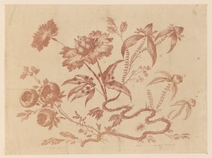 花枝，选自《中国风味不同花卉集 作者 让·巴蒂斯特·皮列曼