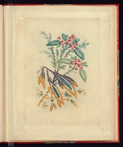 带小红花和浆果的装饰设计，选自《Nouvelle suite de cahiers de flerurs naturelles a l