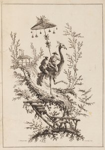 鸵鸟，一套中国风图案中的图版 作者 马丁德蒙奇，b。 1746