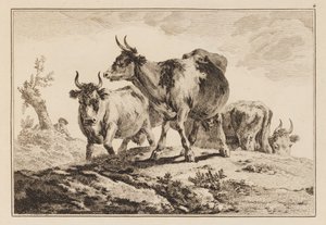 图版 4，选自 "Cahier de Six Feuilles de Boeufs et Vaches"（《六张牛肉和奶牛图集》）。 作者 让·巴蒂斯特·皮列曼