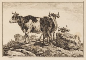 插图 6，选自 "Cahier de Six Feuilles de Boeufs et Vaches"（《六张牛肉和奶牛图集》）。