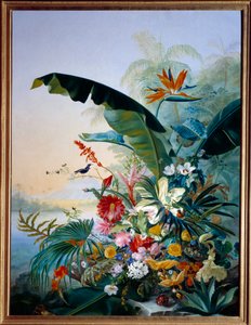 奇异的花朵让-本纳-弗里斯的画作（本纳-弗里斯 作者 让·本纳薯条