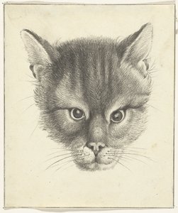 猫头，从正面看