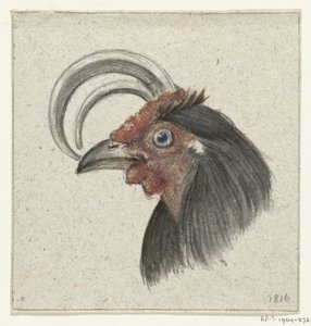 公鸡头 作者 让·伯纳德