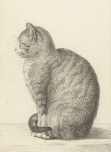 坐着的猫，在左边。 1815年