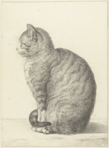 坐着的猫，在左边