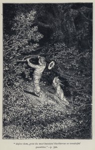 "在他们面前，生长着最美丽的黑莓，数量惊人"（雕刻）。 作者 让·爱德华·达金特