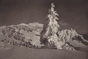 通往里基库尔姆（Rigi Kulm）滑雪场的里基卡尔特巴德（Rigi Kaltbad）（黑白照片 作者 让·加贝雷尔