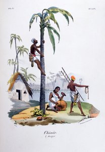 夏纳尔（1828） 作者 让·亨利·马莱特