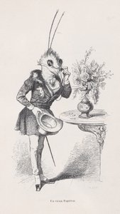一只老蝴蝶，来自《动物的私人和公共生活场景》，约1837-47年。 作者 让·伊格纳斯·伊西多尔·杰拉德