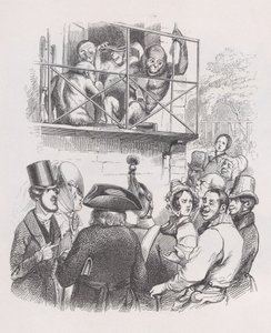 猩猩出自《贝朗热全集》，1836年。 作者 让·伊格纳斯·伊西多尔·杰拉德