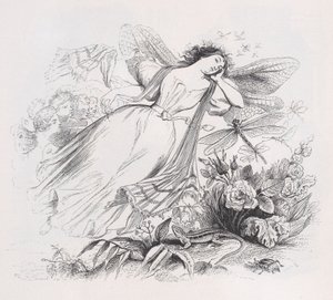 西尔弗》选自《贝朗热全集》，1836年。 作者 让·伊格纳斯·伊西多尔·杰拉德