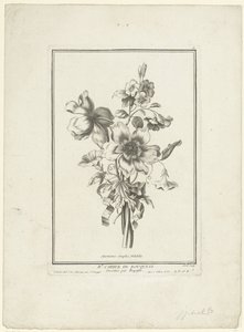 海葵和风之书
简单的海葵，瓦卢比利斯（物体上的标题）
IIe Cahier de Bouquets（系列标题） 作者 雅克·弗朗索瓦·舍罗