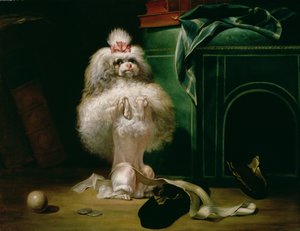 哈瓦那品种的狗，1768年 作者 让·雅克·巴切里尔