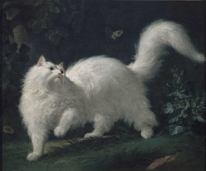 安哥拉猫追蝴蝶，约 1760 年（布面油画） 作者 让·雅克·巴切里尔