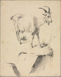 山羊研究 作者 让·雅克·德·布瓦西