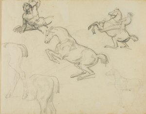 素描裸体卧姿、骑士和各种马匹