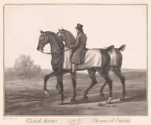 骑手与两匹马同行
Chevaux de Carosse（物上标题） 作者 让·路易斯·达西斯（归因于）