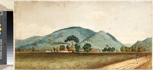 特立尼达西班牙港，圣克莱尔制糖厂 作者 让·米歇尔·卡萨邦