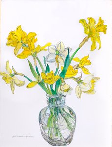 窄颈花瓶中的水仙花，2006 年（纸上水彩和墨迹）