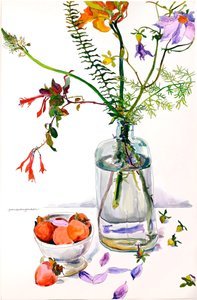 有石榴的花卉研究（纸上水彩和墨水） 作者 吉恩·斯万·戈登
