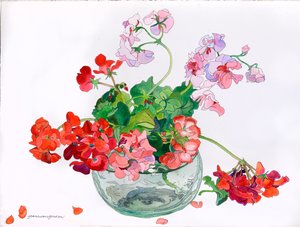 玻璃碗中怡然自得的天竺葵（纸本水彩与水墨）