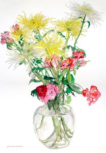 蜘蛛妈妈 作者 吉恩·斯万·戈登
