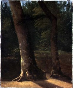 树的研究，约1815年（纸上油画） 作者 Jean Victor (attr. To) Bertin