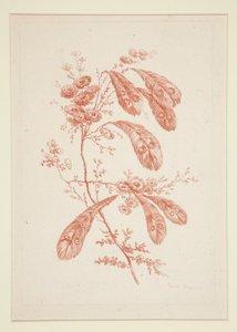 无题（理想之花），选自一套六幅作品